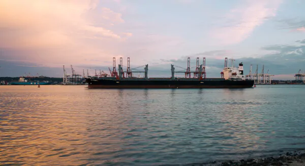 Marine cargo Insurance